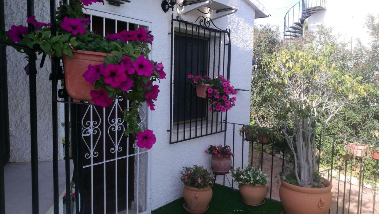Bed and Breakfast El Rincón de la Quinta Calpe Exterior foto